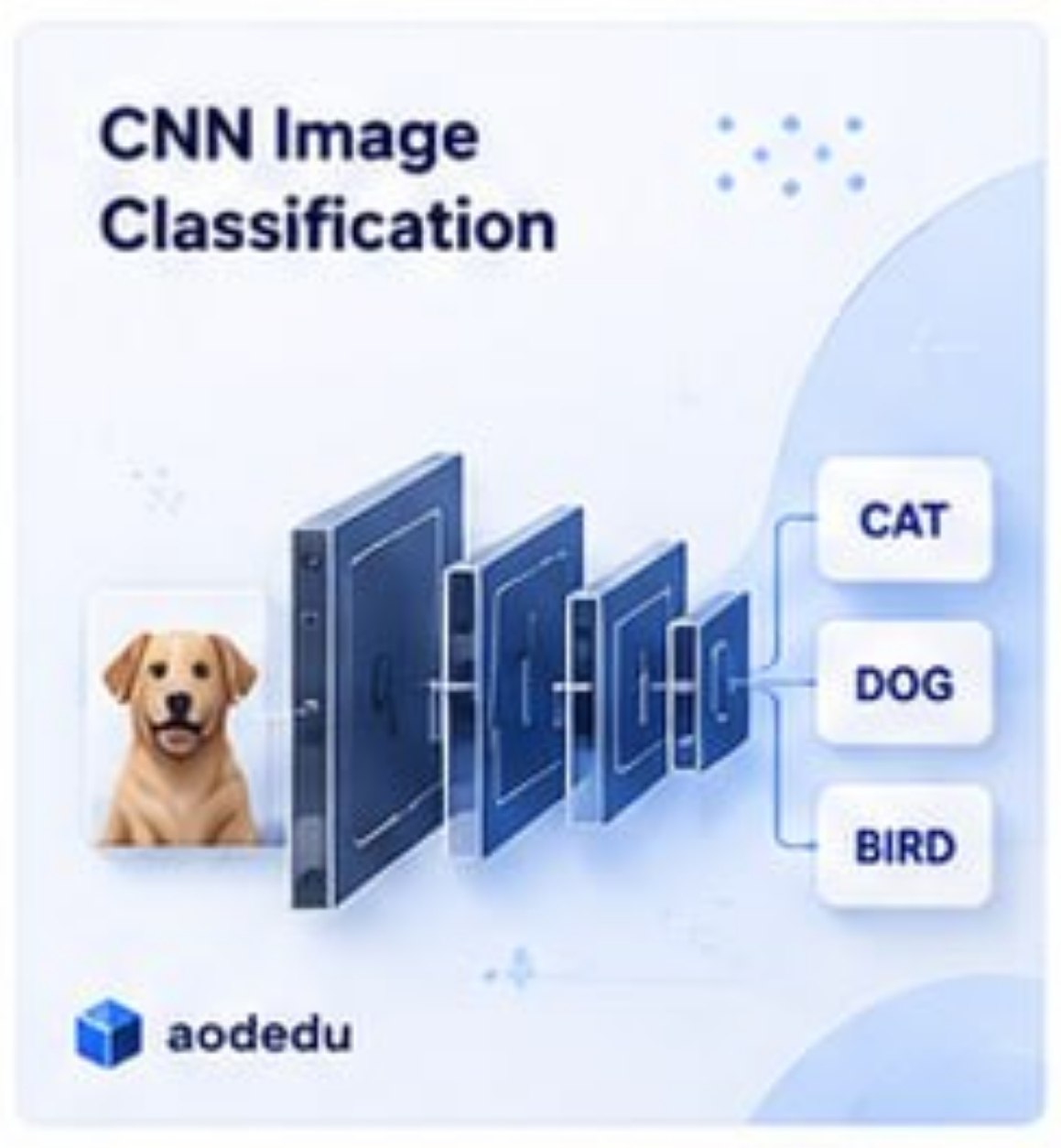Gambar Course CNN Image Classification